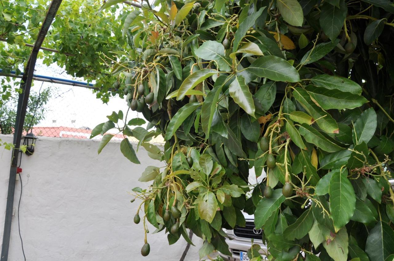 Bonita casa cálida para el relax con wifi Valsequillo de Gran Canaria Exterior foto